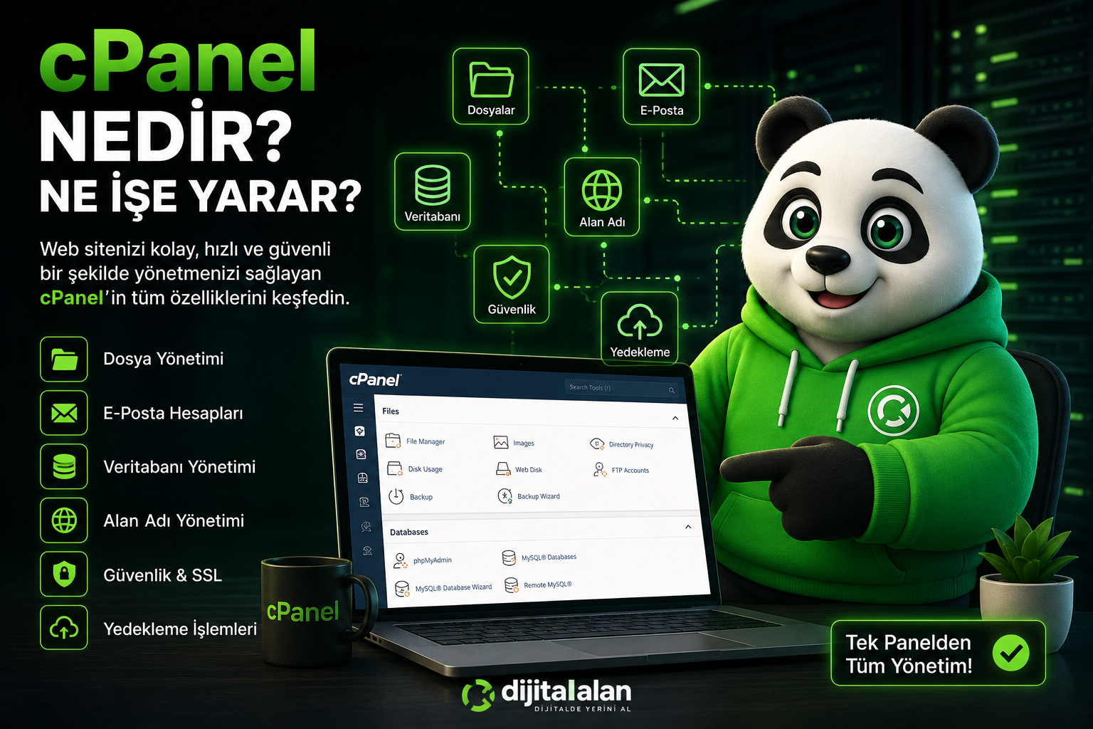 cPanel Nedir? Ne İşe Yarar?