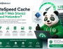 LiteSpeed Cache Nedir? Web Sitenizi Nasıl Hızlandırır?