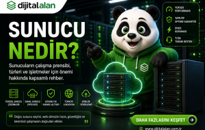 Sunucu Nedir ?